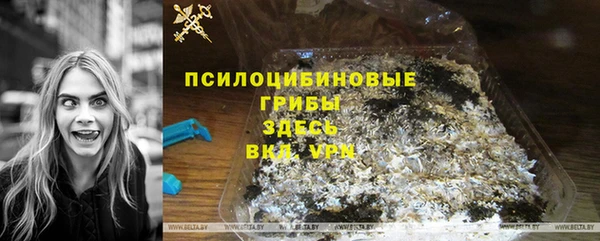 ПСИЛОЦИБИНОВЫЕ ГРИБЫ Армянск
