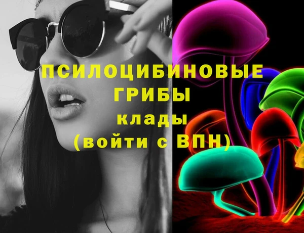 прущая мука Арсеньев