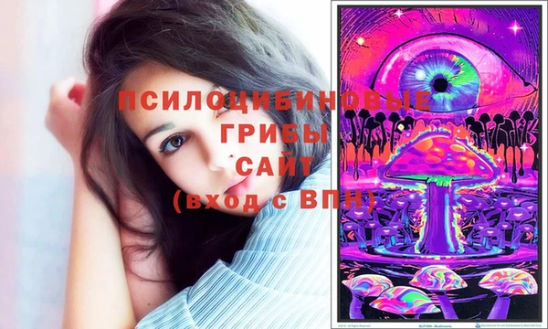 ПСИЛОЦИБИНОВЫЕ ГРИБЫ Армянск
