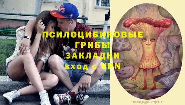 прущая мука Арсеньев